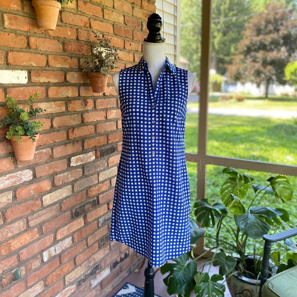 The Limited Ashton Gingham Dress